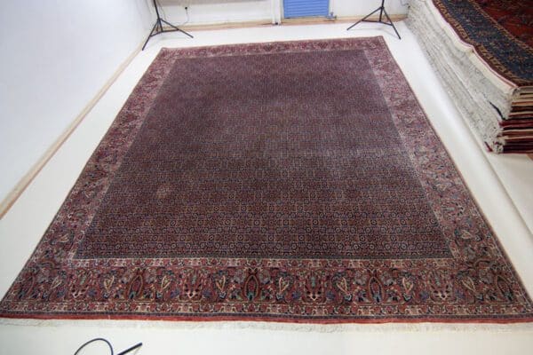 Bidjar<br>390x300 – Bild 3