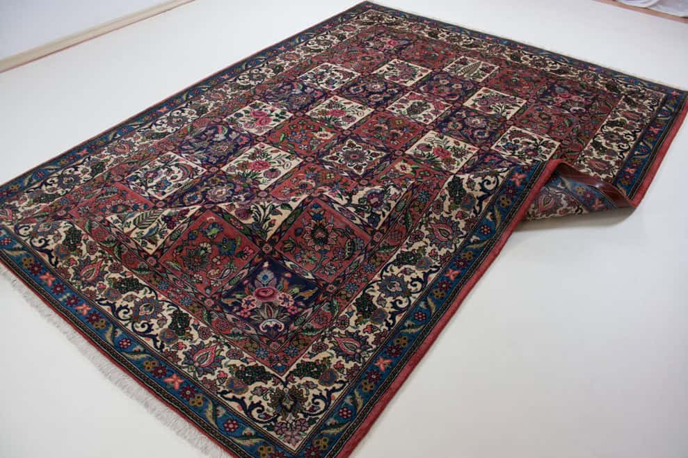 Bakhtiar<br>299x202 – Bild 4