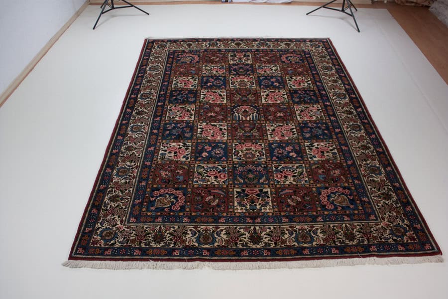 Bakhtiar<br>297x206 – Bild 3