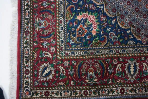 Bakhtiar<br>300x210 – Bild 2
