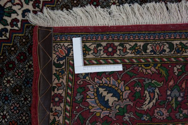 Bakhtiar<br>300x210 – Bild 6