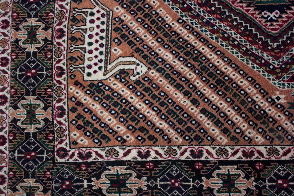 Shahrebabk<br>226x161 – Bild 2