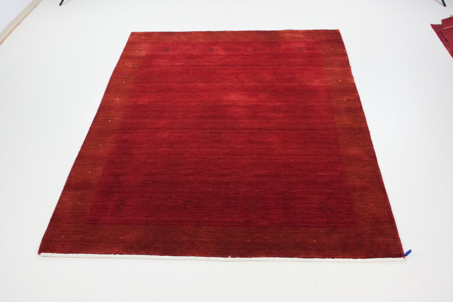 Loribaft Indien<br>238x167 – Bild 3