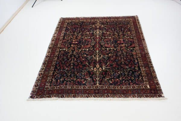 Shahrebabak<br>231x162 – Bild 3