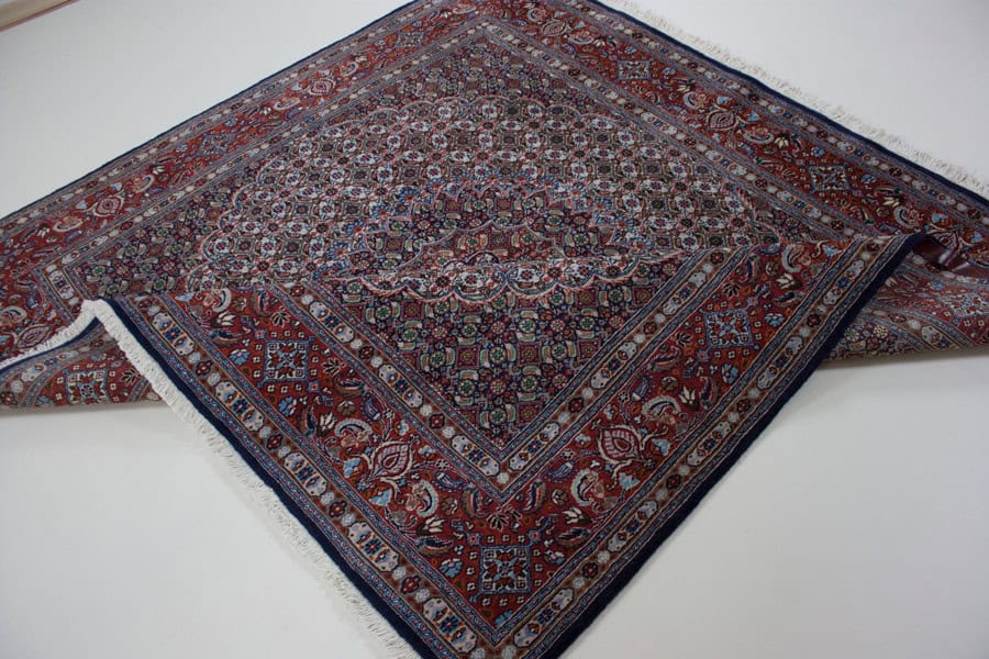 Moud<br>202x198 – Bild 5