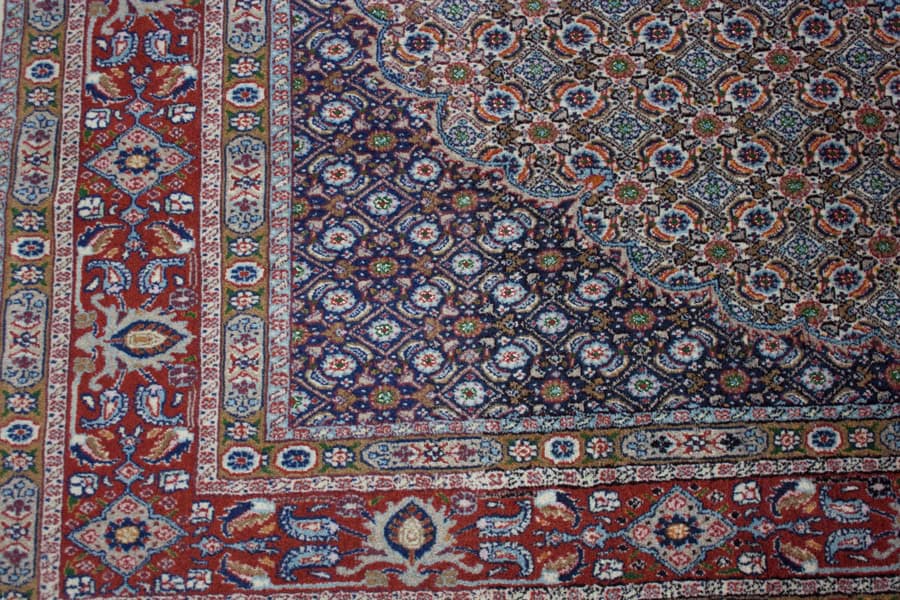 Moud<br>202x198 – Bild 2