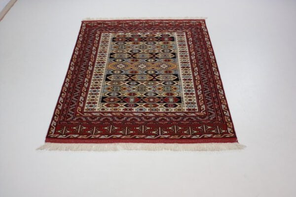 Turkmen <br>189x138 – Bild 3