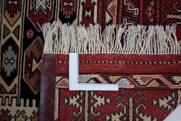 Turkmen <br>189x138 – Bild 5
