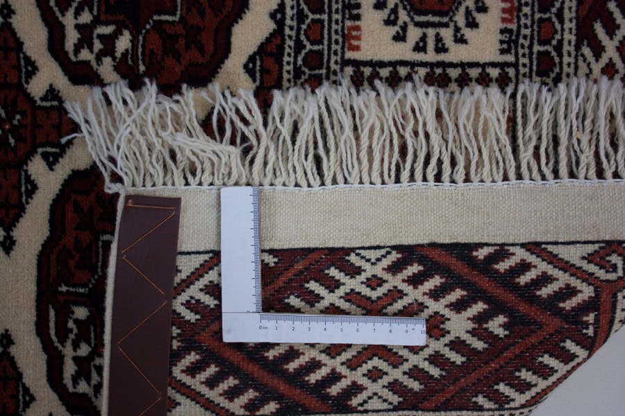 Turkmen <br>151x106 – Bild 5